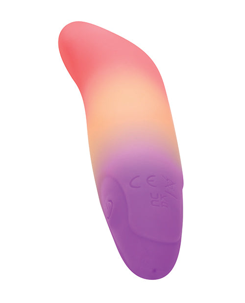 Dolphin Dreams Bullet Vibrator — Pinpoint Comfort Tip