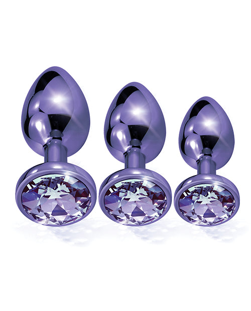 Nixie Metal Butt Plug Trainer Set – Purple Metallic Jeweled