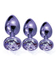 Nixie Metal Butt Plug Trainer Set – Purple Metallic Jeweled