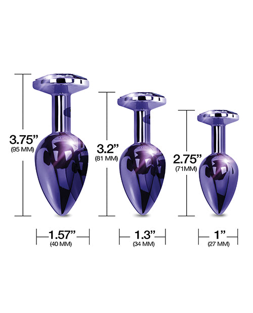 Nixie Metal Butt Plug Trainer Set – Purple Metallic Jeweled