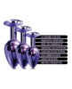 Nixie Metal Butt Plug Trainer Set – Purple Metallic Jeweled